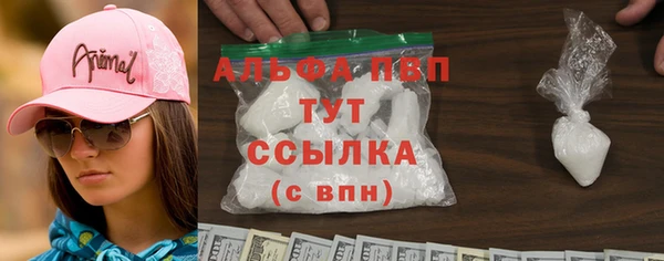 прущие грибы Покров