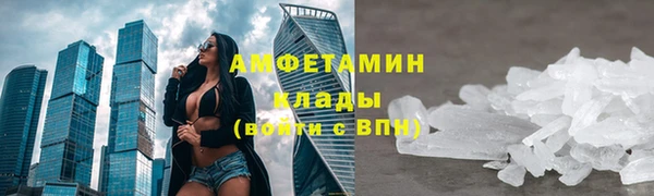 прущие грибы Покров