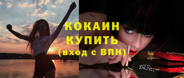 бошки Пересвет