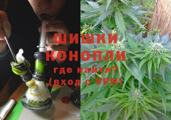 крисы Покачи