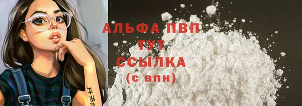 крисы Покачи