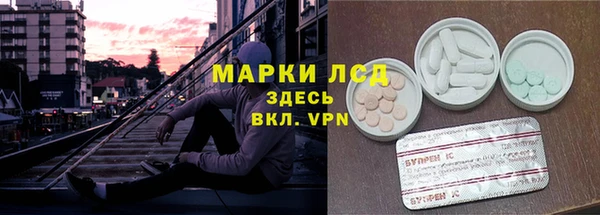 прущие грибы Покров