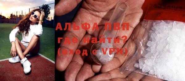прущие грибы Покров