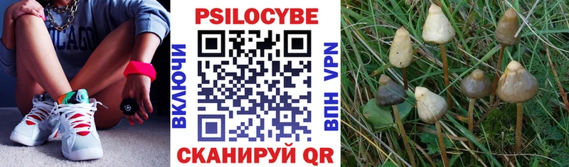 Галлюциногенные грибы мицелий  даркнет сайт  Ессентуки 