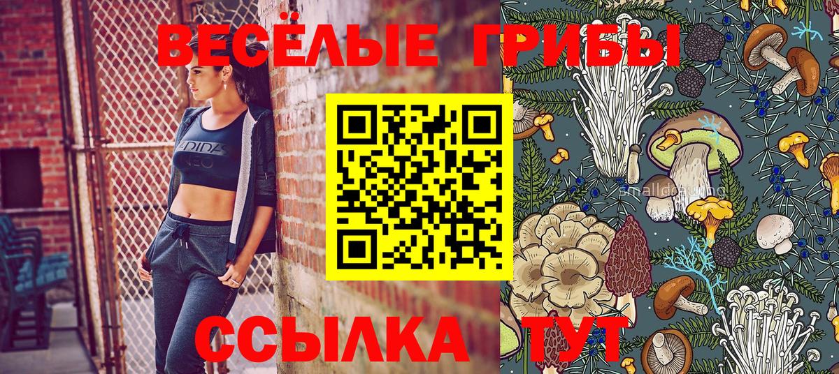 Галлюциногенные грибы мицелий Ессентуки