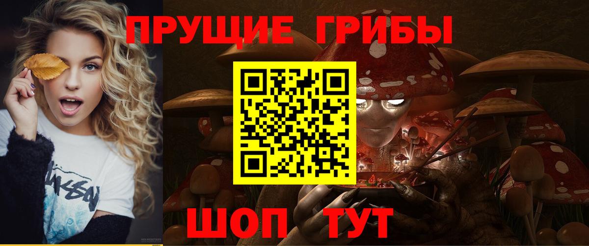 Галлюциногенные грибы Magic Shrooms  Вход с VPN  Ессентуки  Галлюциногенные грибы прущие грибы 