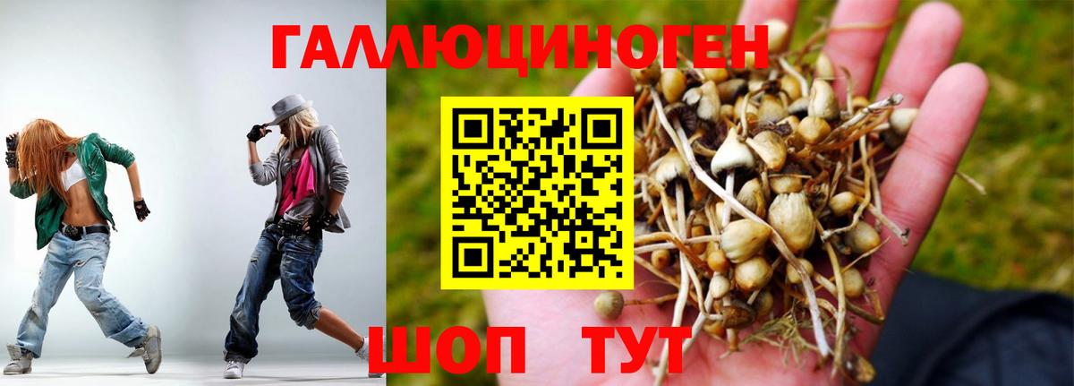 Галлюциногенные грибы прущие грибы  Галлюциногенные грибы Magic Shrooms  купить наркотик  Ессентуки 